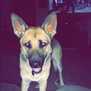 Meet your Posher, Jaocb